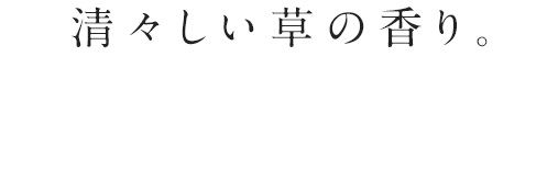 清々しい草の香り。